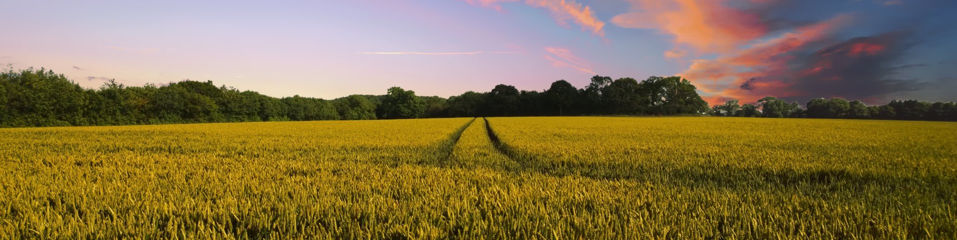 This is Lithuania