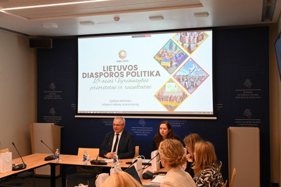 Viceministras E. Meilūnas: stiprinant valstybės ryšius su diaspora padarytas proveržis