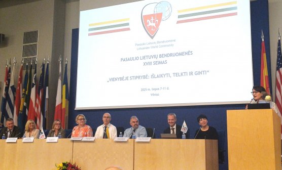 Lietuvos siekis – nuosekli diasporos politika, stipri valstybės ir diasporos bendrystė