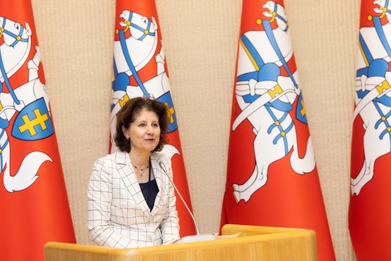 Viceministrė A. Plepytė: ryšys su diaspora stiprina Lietuvos nacionalinį saugumą ir  ekonominį...
