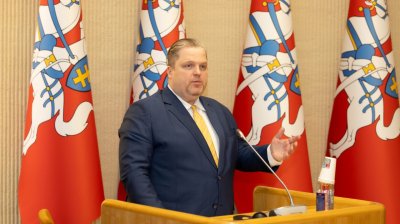 Viceministras T. Valys: plėtojamas kokybiškai naujas valstybės ir diasporos santykis