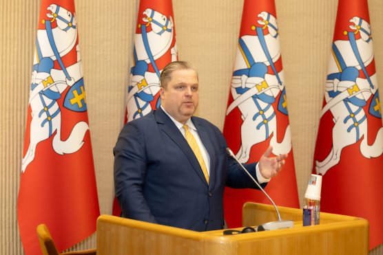 Viceministras T. Valys: plėtojamas kokybiškai naujas valstybės ir diasporos santykis
